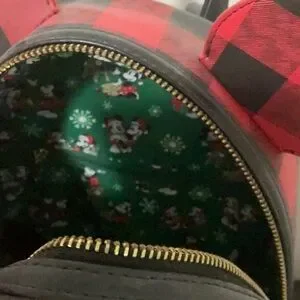 Disney | Bags | Disney Loungefly Red And Black Plaid  display picture 2